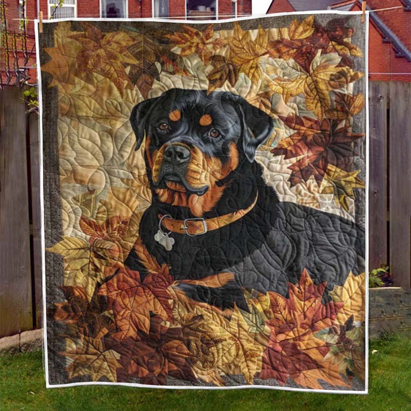 Rottweiler'S Autumn Breeze Blanket - D248 - Premium Blanket