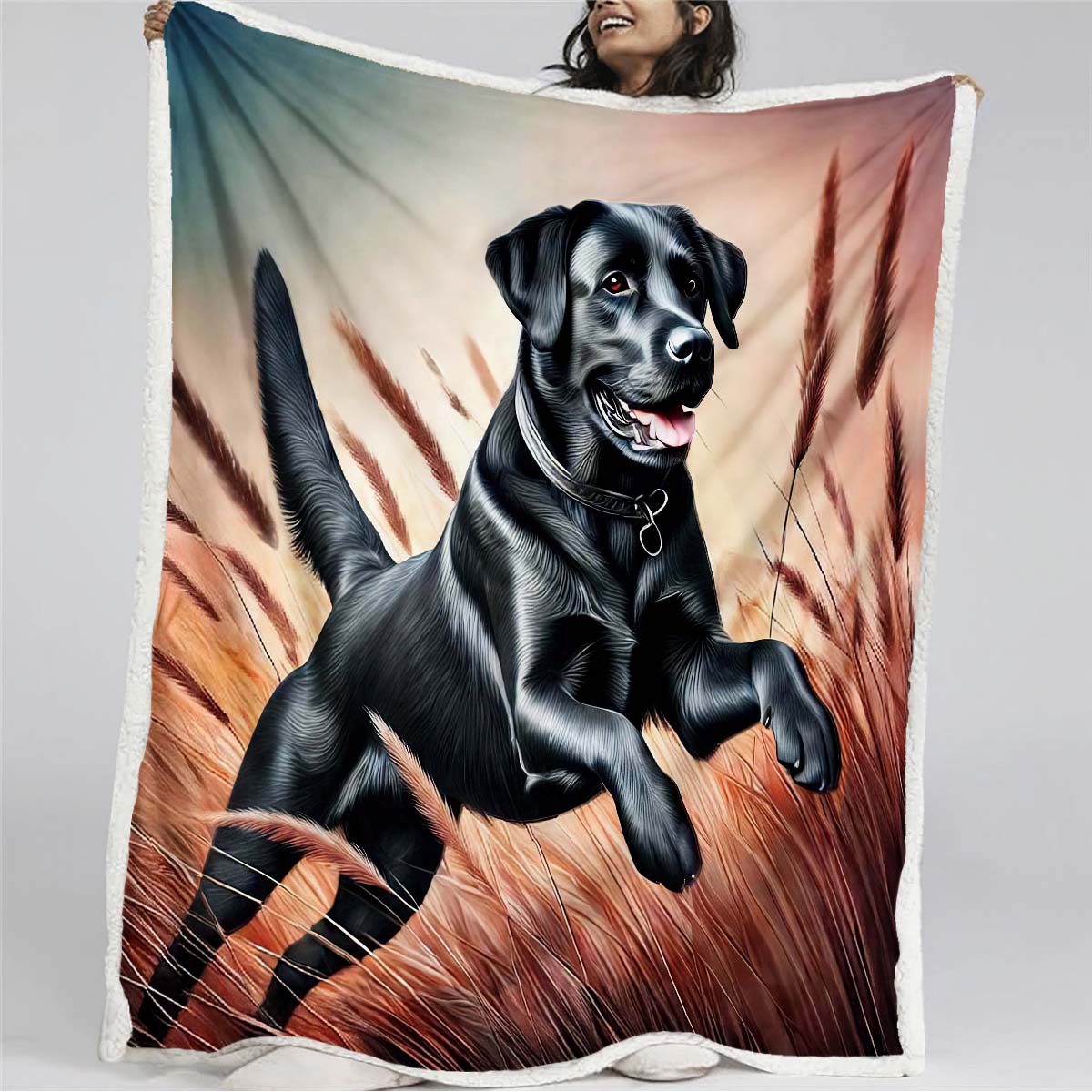 Black Labrador Blanket - H213 - Premium Blanket