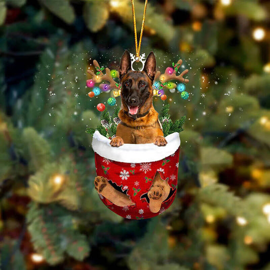 Belgain Malinois In Snow Pocket Christmas Ornament SP059